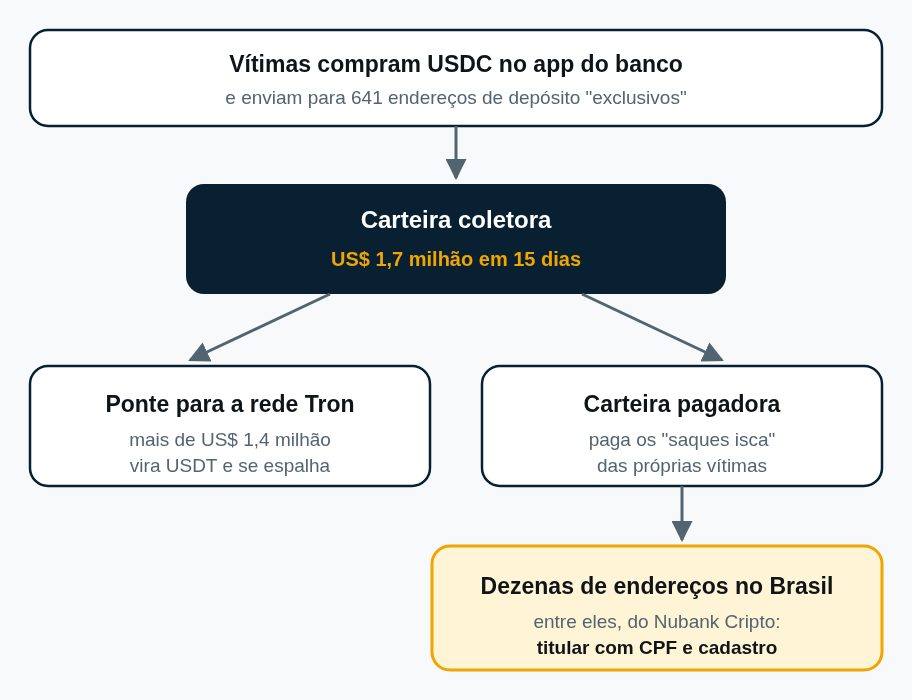 Esquema do caminho do dinheiro: vítimas, carteira coletora, ponte para a rede Tron, carteira pagadora e endereços no Brasil